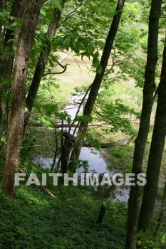 stream, creek, tree, spring, springtime, season, growth, bud, fresh, daytime, nature, flora, outdoors, sunlight, sunshine, outside, flower, plant, natural, streams, creeks, trees, springs, seasons, buds, daytimes