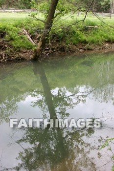 stream, creek, tree, spring, springtime, season, growth, bud, fresh, daytime, nature, flora, outdoors, sunlight, sunshine, outside, flower, plant, natural, streams, creeks, trees, springs, seasons, buds, daytimes