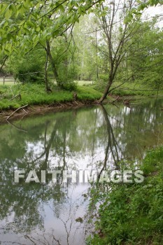 stream, creek, tree, spring, springtime, season, growth, bud, fresh, daytime, nature, flora, outdoors, sunlight, sunshine, outside, flower, plant, natural, streams, creeks, trees, springs, seasons, buds, daytimes