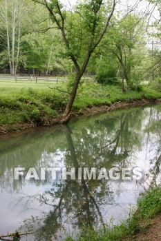 stream, creek, tree, spring, springtime, season, growth, bud, fresh, daytime, nature, flora, outdoors, sunlight, sunshine, outside, flower, plant, natural, streams, creeks, trees, springs, seasons, buds, daytimes