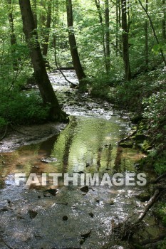 stream, creek, tree, spring, springtime, season, growth, bud, fresh, daytime, nature, flora, outdoors, sunlight, sunshine, outside, flower, plant, natural, streams, creeks, trees, springs, seasons, buds, daytimes