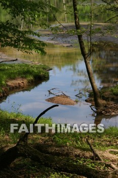 stream, creek, tree, spring, springtime, season, growth, bud, fresh, daytime, nature, flora, outdoors, sunlight, sunshine, outside, flower, plant, natural, streams, creeks, trees, springs, seasons, buds, daytimes