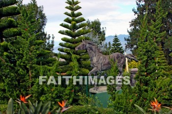 horse, horse statue, statue, ranch, maui, hawaii, horses, ranches