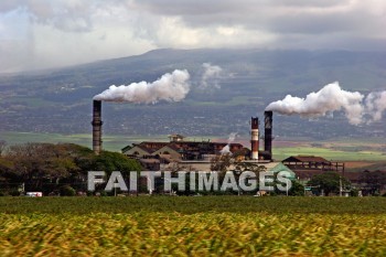 sugar, sugar mill, maui, hawaii, sugars