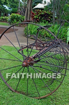 hay rake, rake, hay, maui tropical plantation, maui, hawaii, rakes, hays