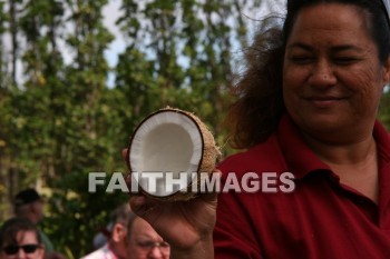 husking, husking a coconut, coconut, maui tropical plantation, maui, hawaii, coconuts