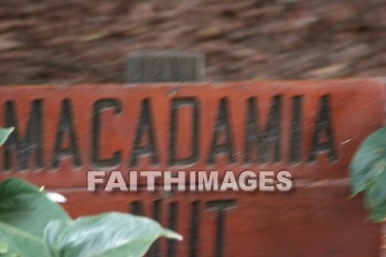 macadamia nut, sign, maui tropical plantation, maui, hawaii, signs