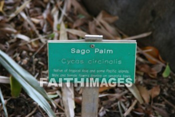 sign, sago palm, maui tropical plantation, maui, hawaii, signs