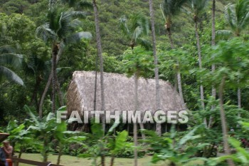 thatch, thatched roof, hut, iao valley, maui, hawaii, thatches, huts