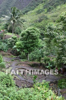 park, iao needle, cinder cone, pinnacle, iao valley, maui, hawaii, parks, pinnacles