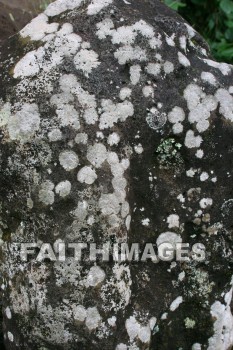 fungus, lichen, river, river rock, iao needle, cinder cone, pinnacle, iao valley, maui, hawaii, fungi, funguses, lichens, rivers, pinnacles