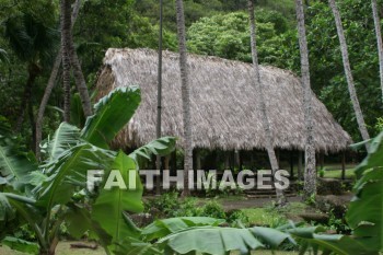 thatch, thatched roof, hut, iao needle, cinder cone, pinnacle, iao valley, maui, hawaii, thatches, huts, pinnacles