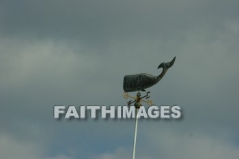 fish, wind sock, kona, island of hawaii, hawaii, Fishes