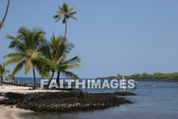 palm, palm trees, tree, beach, bay, ocean, sea, sand, pu'uhonua o honaunau national historical park, kona, island of hawaii, hawaii, palms, trees, beaches, bays, oceans, seas, sands