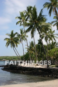 palm, palm trees, tree, beach, bay, ocean, sea, sand, pu'uhonua o honaunau national historical park, kona, island of hawaii, hawaii, palms, trees, beaches, bays, oceans, seas, sands