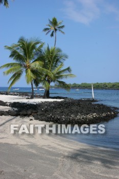 palm, palm trees, tree, beach, bay, ocean, sea, sand, pu'uhonua o honaunau national historical park, kona, island of hawaii, hawaii, palms, trees, beaches, bays, oceans, seas, sands