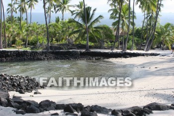 palm trees, palm, tree, pu'uhonua o honaunau national historical park, kona, island of hawaii, hawaii, palms, trees