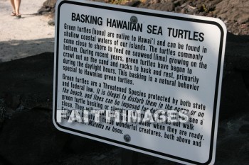 sign, sea turtle, Turtle, pu'uhonua o honaunau national historical park, kona, island of hawaii, hawaii, signs, turtles