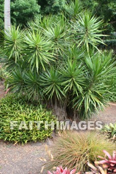 allerton garden, kuai national botanical garden, kuai, hawaii