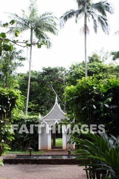 exotic forest, forest, exotic, tree, path, allerton garden, kuai national botanical garden, kuai, hawaii, forests, trees, paths