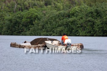 boat, Wailua River, Fern Grotto, kuai, hawaii, boats