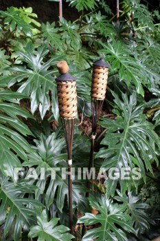 torch, light, Fern Grotto, kuai, hawaii, Torches, lights