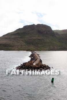 coastline, breakwater, kuai, hawaii