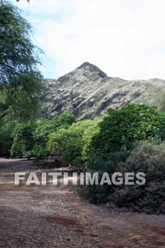 KoKo Crater Botanical Gardens, honolulu, O'ahu, hawaii