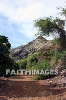 KoKo Crater Botanical Gardens, honolulu, O'ahu, hawaii