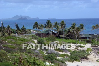 shore, shoreline, ocean, sea, palm, palm trees, Makapuu, O'ahu, hawaii, shores, oceans, seas, palms