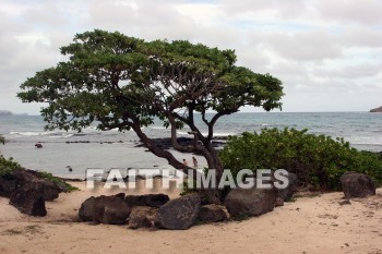 seacoast, sea, ocean, Kailua, O'ahu, hawaii, seacoasts, seas, oceans