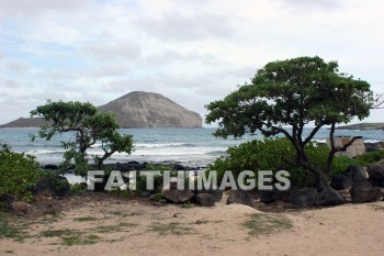 seacoast, sea, ocean, Kailua, O'ahu, hawaii, seacoasts, seas, oceans