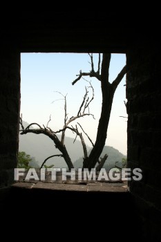 dead tree, window, great wall, wall, china, windows, walls