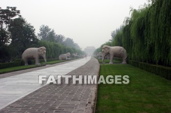 Elephant, stone animals on the sacred way, ming tombs, imperial tombs, burial, cemetery, grave, death, dying, dead, dies, china, elephants, burials, cemeteries, Graves, deaths