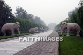 Elephant, stone animals on the sacred way, ming tombs, imperial tombs, burial, cemetery, grave, death, dying, dead, dies, china, elephants, burials, cemeteries, Graves, deaths