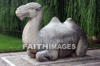 Camel, stone animals on the sacred way, ming tombs, imperial tombs, burial, cemetery, grave, death, dying, dead, dies, china, camels, burials, cemeteries, Graves, deaths