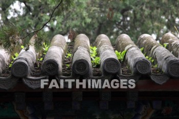 ornamental tile roof, the summer palace, beijing, china