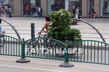 three-wheel bicycle, bicycle, plant, hauling, haul, hauled hauls, xian, china, bicycles, plants, hauls