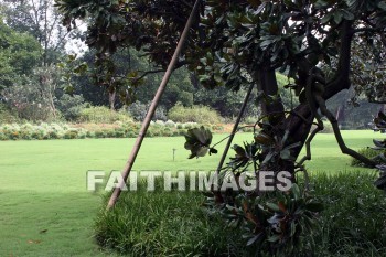 park, west lake, hangzhou, china, parks