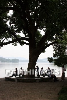 tree, great tree, chinese men, resting, sitting, park, park bench, west lake, hangzhou, china, trees, sittings, parks