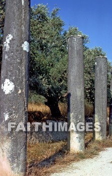 Samaria, city, Northern, kingdom, Israel, prophet, Elijah, Elisha, shemer, omri, king, idolatry, Roman, column, archaeology, antiquity, remains, Ruin, artifacts, cities, kingdoms, prophets, Kings, Romans, columns, ruins