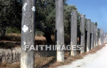 Samaria, city, Northern, kingdom, Israel, prophet, Elijah, Elisha, shemer, omri, king, idolatry, Roman, column, archaeology, antiquity, remains, Ruin, artifacts, cities, kingdoms, prophets, Kings, Romans, columns, ruins