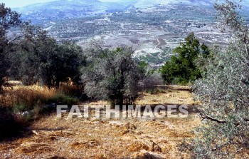 Samaria, city, region, Northern, kingdom, Israel, prophet, Elijah, Elisha, shemer, omri, king, idolatry, archaeology, antiquity, artifacts, Ruin, remains, cities, regions, kingdoms, prophets, Kings, ruins