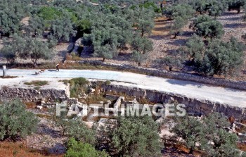 Samaria, city, region, Northern, kingdom, Israel, prophet, Elijah, Elisha, shemer, omri, king, idolatry, archaeology, antiquity, artifacts, Ruin, remains, shop, cities, regions, kingdoms, prophets, Kings, ruins, shops