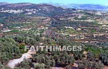 Samaria, city, region, Northern, kingdom, Israel, prophet, Elijah, Elisha, shemer, omri, king, idolatry, archaeology, antiquity, artifacts, Ruin, remains, cities, regions, kingdoms, prophets, Kings, ruins