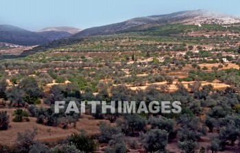 Samaria, city, region, Northern, kingdom, Israel, prophet, Elijah, Elisha, shemer, omri, king, idolatry, archaeology, antiquity, artifacts, Ruin, remains, cities, regions, kingdoms, prophets, Kings, ruins