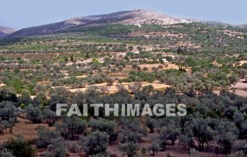 Samaria, city, region, Northern, kingdom, Israel, prophet, Elijah, Elisha, shemer, omri, king, idolatry, archaeology, antiquity, artifacts, Ruin, remains, cities, regions, kingdoms, prophets, Kings, ruins