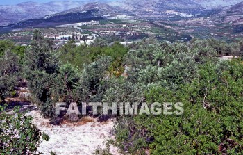 Samaria, city, region, Northern, kingdom, Israel, prophet, Elijah, Elisha, shemer, omri, king, idolatry, archaeology, antiquity, artifacts, Ruin, remains, cities, regions, kingdoms, prophets, Kings, ruins