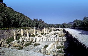 Samaria, city, Northern, kingdom, Israel, prophet, Elijah, Elisha, shemer, omri, king, idolatry, archaeology, antiquity, artifacts, Ruin, remains, Roman, forum, column, cities, kingdoms, prophets, Kings, ruins, Romans