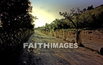 Samaria, city, Northern, kingdom, Israel, prophet, Elijah, Elisha, shemer, omri, king, idolatry, archaeology, antiquity, artifacts, Ruin, remains, Roman, forum, column, cities, kingdoms, prophets, Kings, ruins, Romans